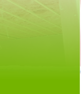pp55d11841.png